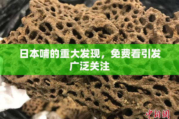 日本哺的重大发现，免费看引发广泛关注
