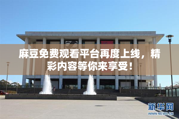 麻豆免费观看平台再度上线，精彩内容等你来享受！