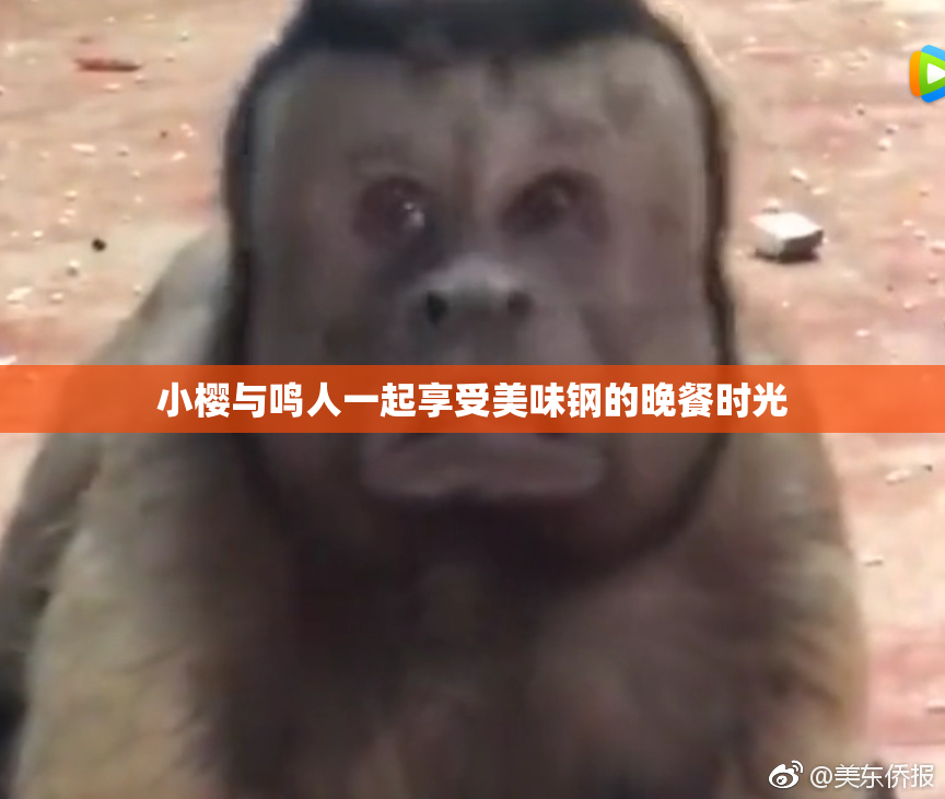 小樱与鸣人一起享受美味钢的晚餐时光