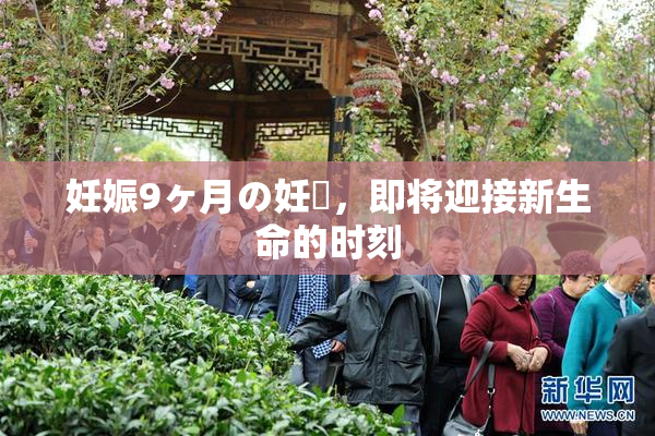 妊娠9ヶ月の妊婦，即将迎接新生命的时刻