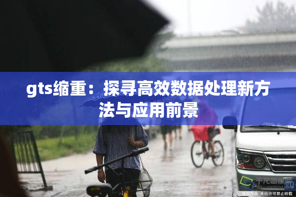 gts缩重：探寻高效数据处理新方法与应用前景