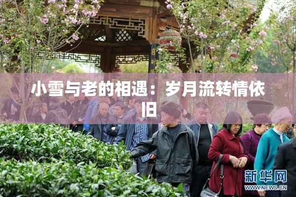 小雪与老的相遇：岁月流转情依旧