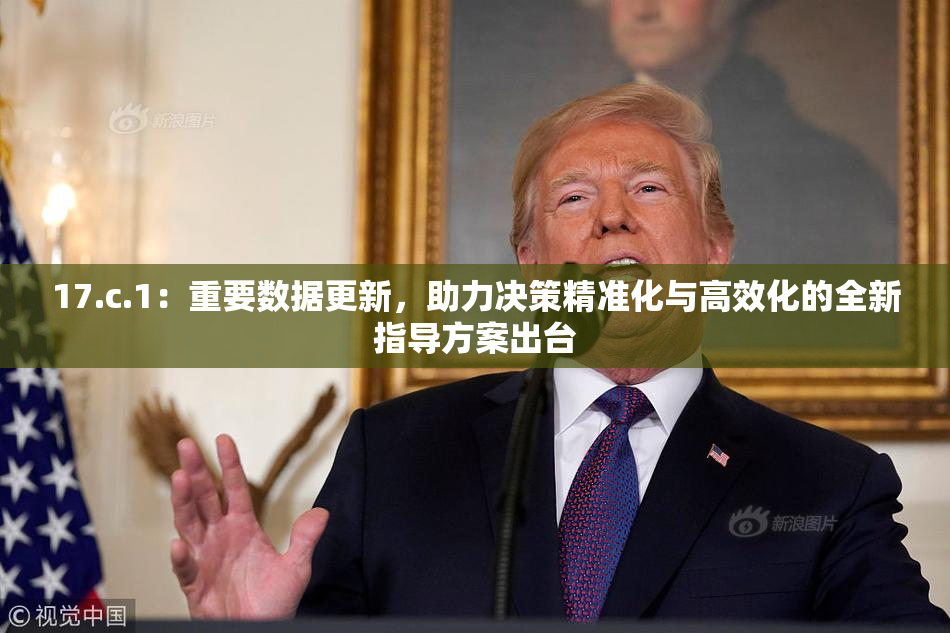 17.c.1：重要数据更新，助力决策精准化与高效化的全新指导方案出台