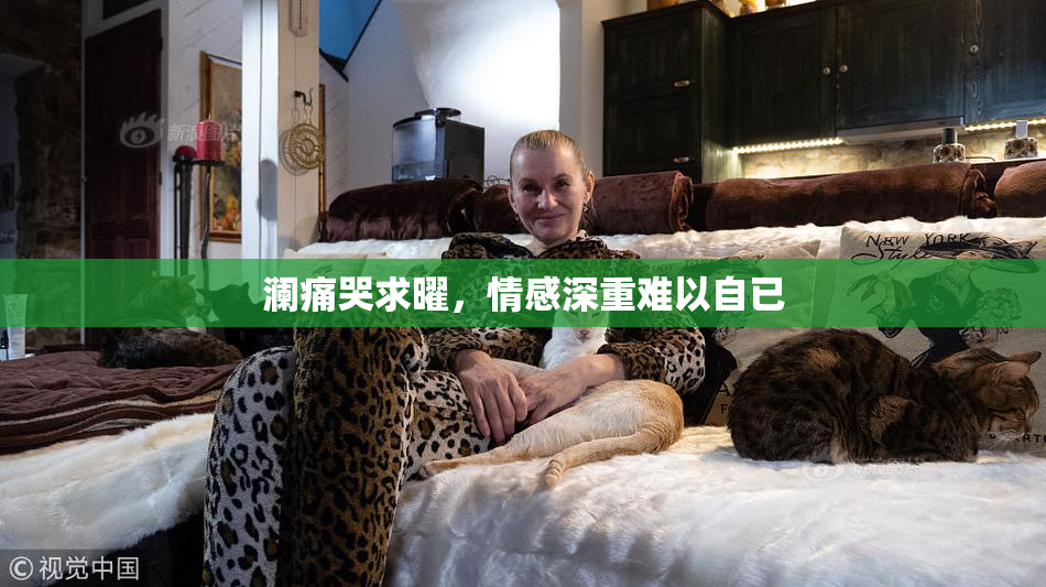 澜痛哭求曜，情感深重难以自已
