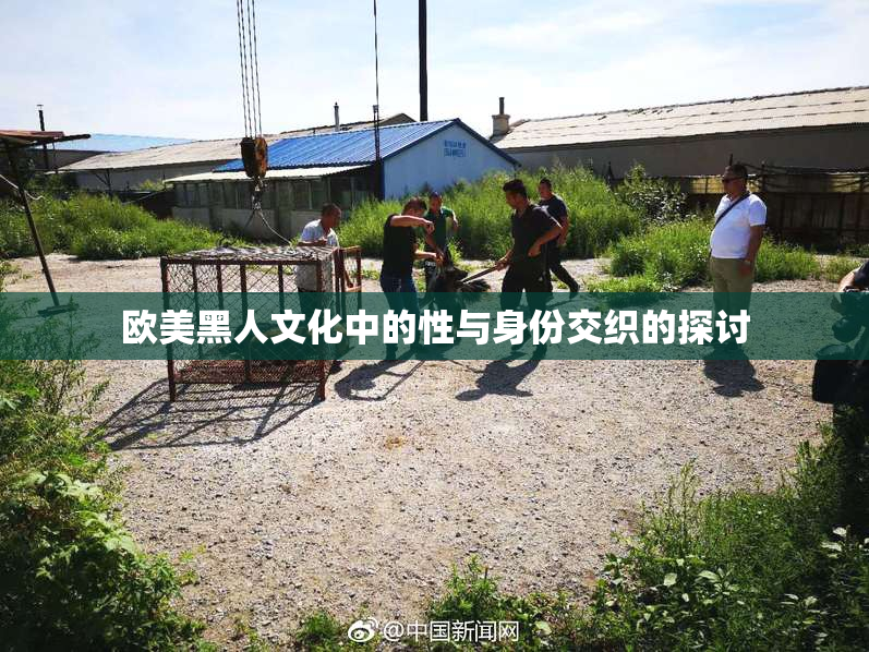 欧美黑人文化中的性与身份交织的探讨