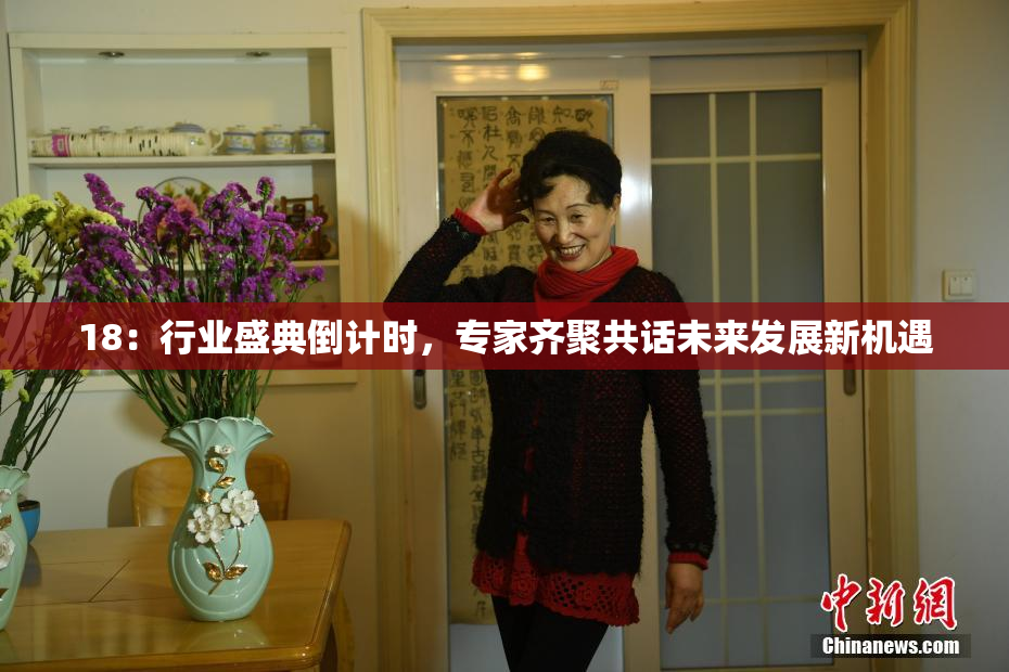 18：行业盛典倒计时，专家齐聚共话未来发展新机遇