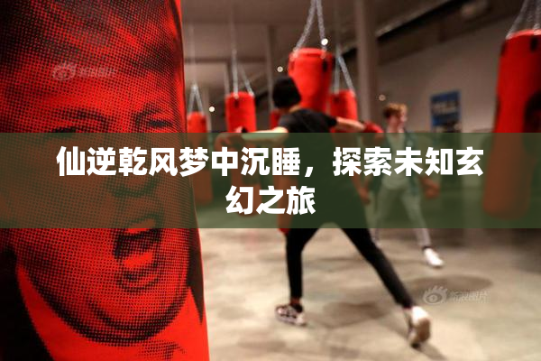 仙逆乾风梦中沉睡，探索未知玄幻之旅