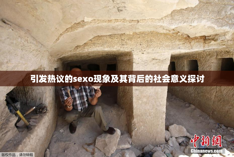 引发热议的sexo现象及其背后的社会意义探讨