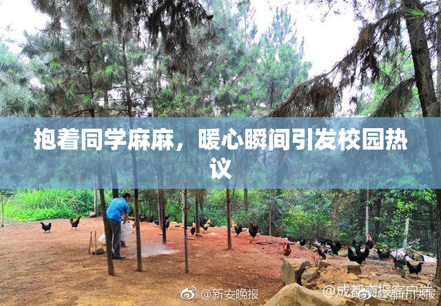 抱着同学麻麻，暖心瞬间引发校园热议
