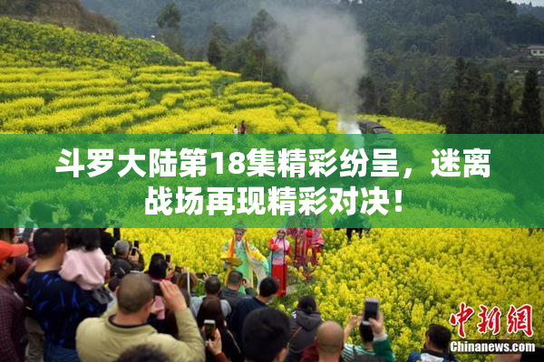 斗罗大陆第18集精彩纷呈，迷离战场再现精彩对决！