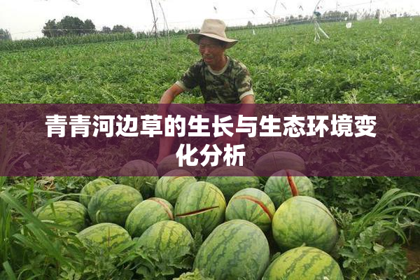 青青河边草的生长与生态环境变化分析