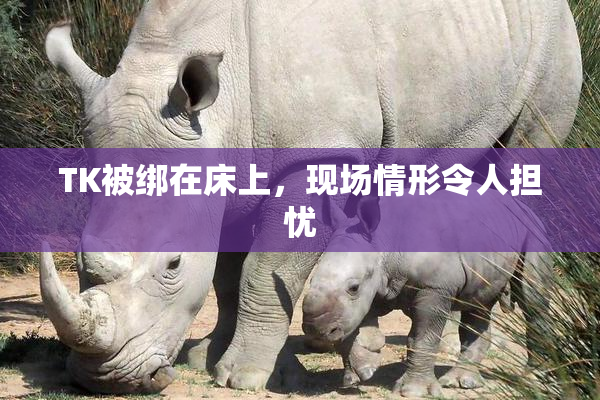TK被绑在床上，现场情形令人担忧