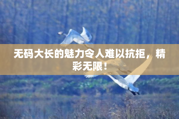 无码大长的魅力令人难以抗拒，精彩无限！