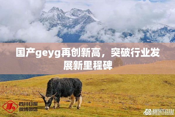 国产geyg再创新高，突破行业发展新里程碑
