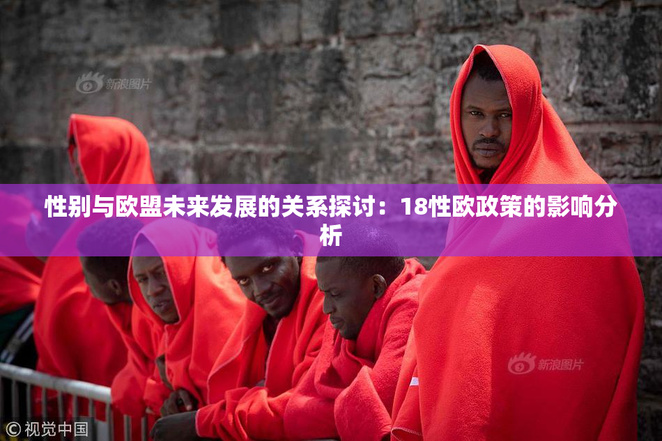 性别与欧盟未来发展的关系探讨：18性欧政策的影响分析