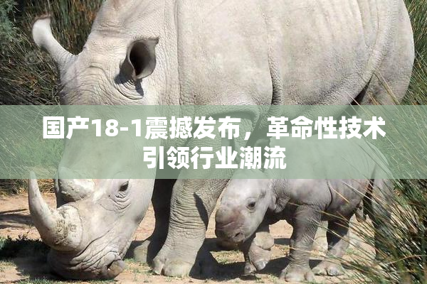 国产18-1震撼发布，革命性技术引领行业潮流