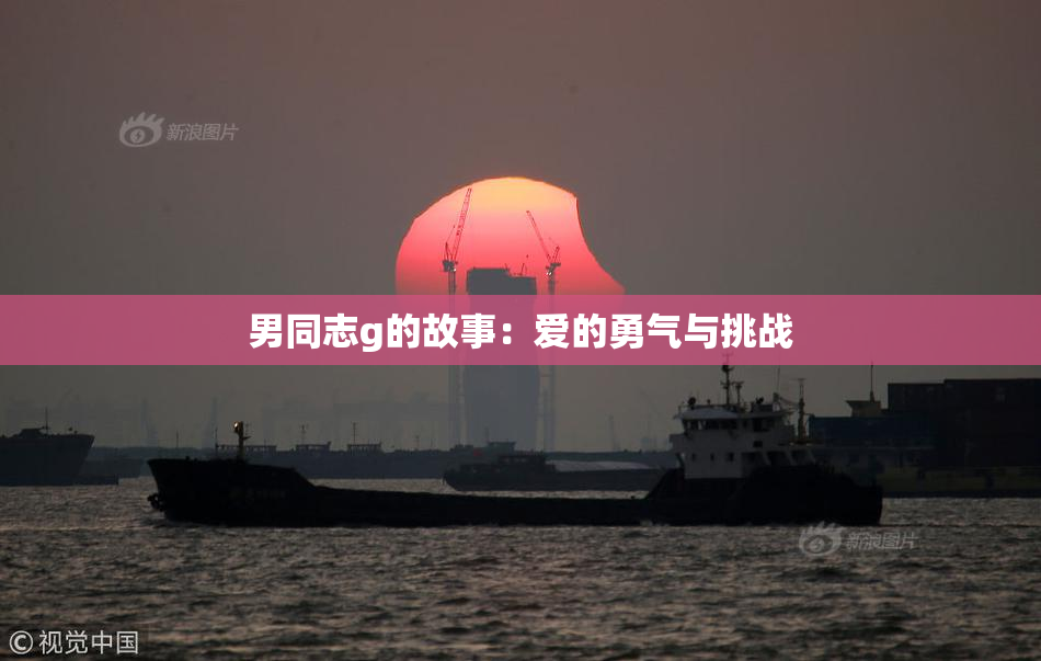 男同志g的故事：爱的勇气与挑战
