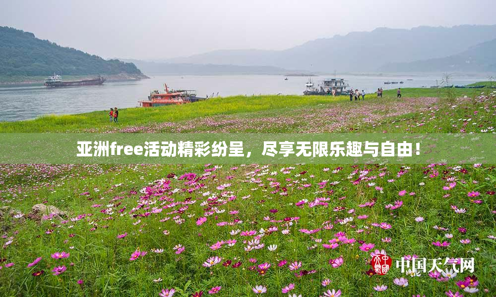 亚洲free活动精彩纷呈，尽享无限乐趣与自由！
