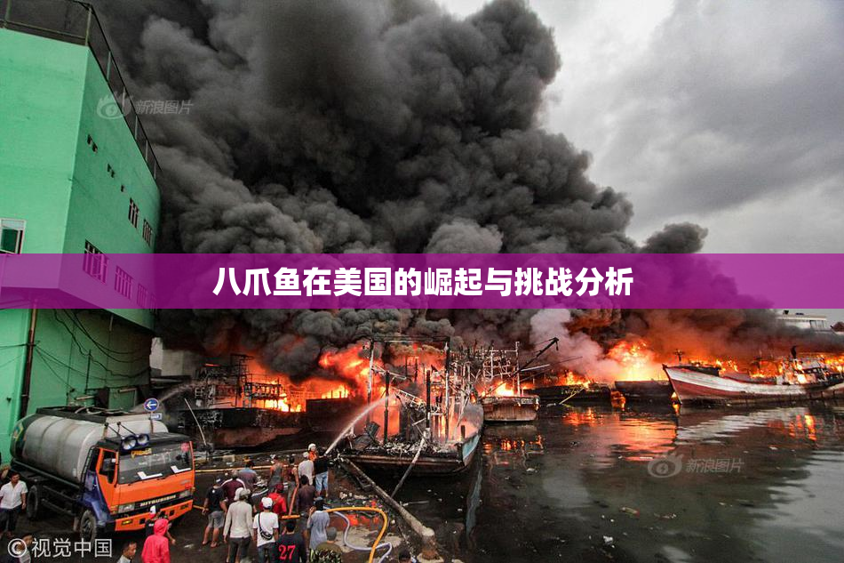 八爪鱼在美国的崛起与挑战分析