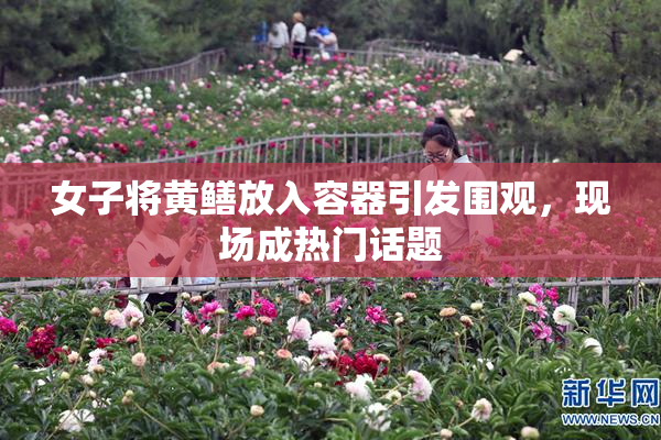 女子将黄鳝放入容器引发围观，现场成热门话题