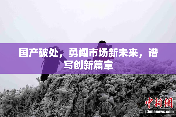 国产破处，勇闯市场新未来，谱写创新篇章