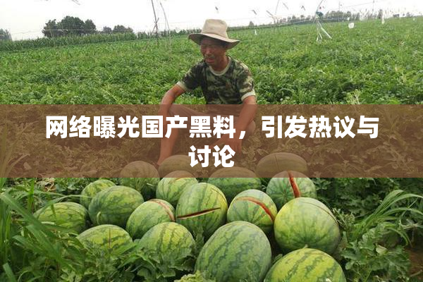 网络曝光国产黑料，引发热议与讨论