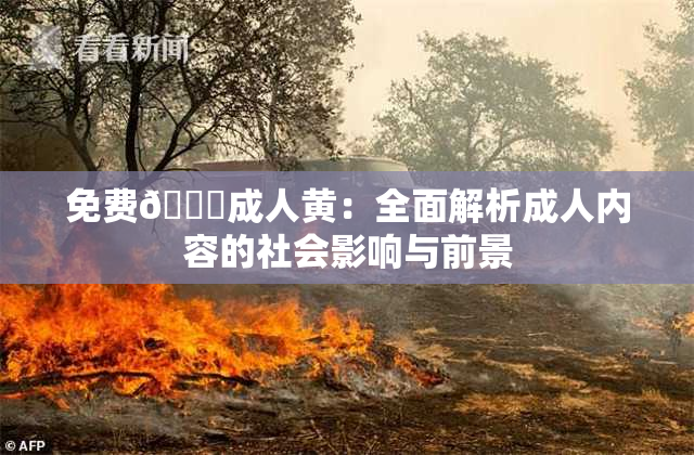 免费🔞成人黄：全面解析成人内容的社会影响与前景