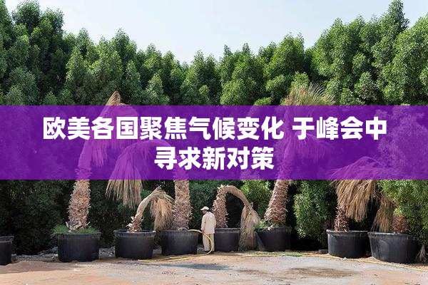 欧美各国聚焦气候变化 于峰会中寻求新对策