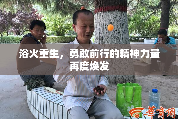 浴火重生，勇敢前行的精神力量再度焕发