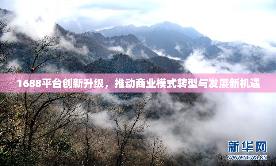 1688平台创新升级，推动商业模式转型与发展新机遇
