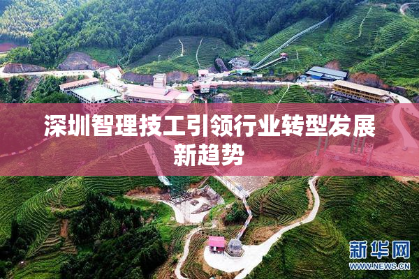 深圳智理技工引领行业转型发展新趋势