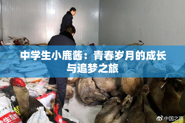 中学生小鹿酱：青春岁月的成长与追梦之旅