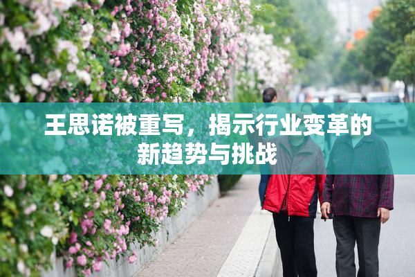 王思诺被重写，揭示行业变革的新趋势与挑战