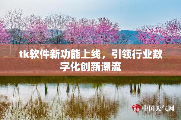 tk软件新功能上线，引领行业数字化创新潮流
