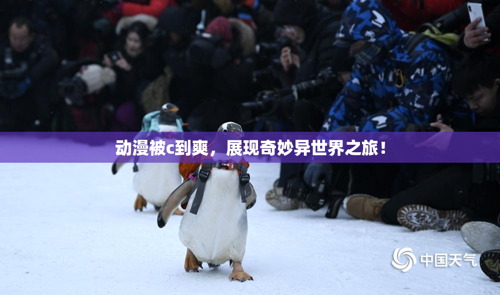 动漫被c到爽，展现奇妙异世界之旅！