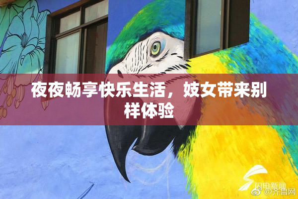 夜夜畅享快乐生活，妓女带来别样体验