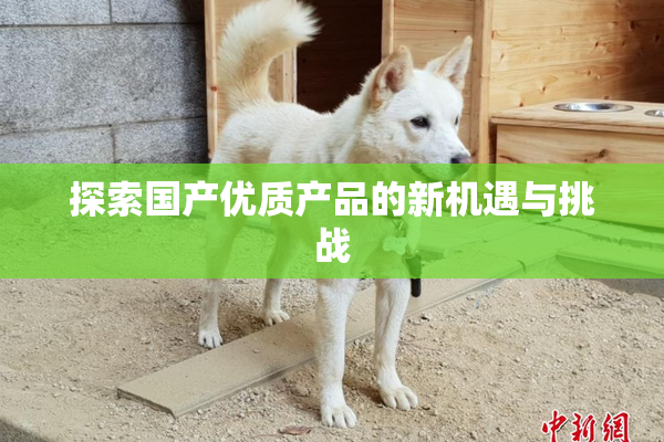 探索国产优质产品的新机遇与挑战