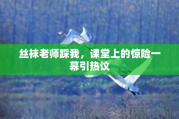 丝袜老师踩我，课堂上的惊险一幕引热议