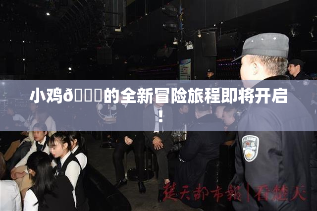 小鸡🐔的全新冒险旅程即将开启！