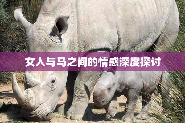 女人与马之间的情感深度探讨