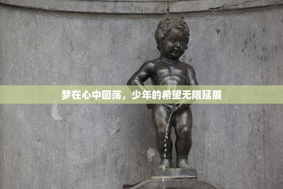 梦在心中回荡，少年的希望无限延展