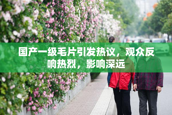 国产一级毛片引发热议，观众反响热烈，影响深远