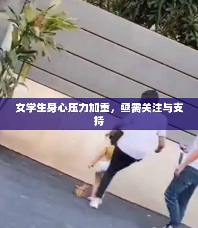 女学生身心压力加重，亟需关注与支持