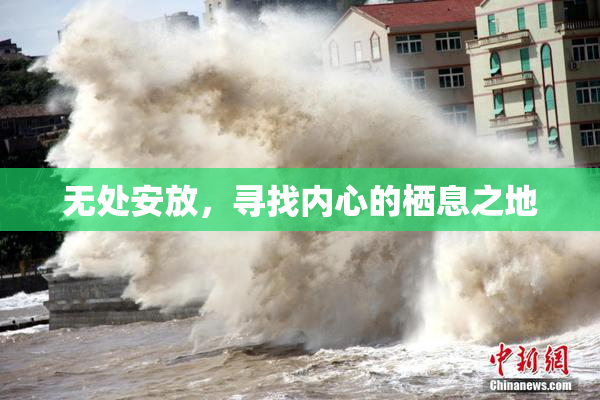 无处安放，寻找内心的栖息之地
