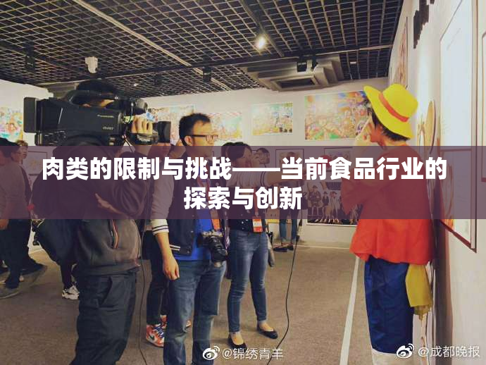 肉类的限制与挑战——当前食品行业的探索与创新