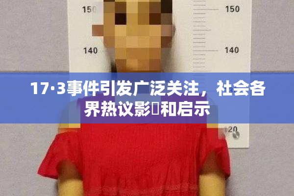 17·3事件引发广泛关注，社会各界热议影響和启示