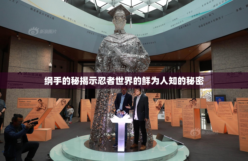 纲手的秘揭示忍者世界的鲜为人知的秘密