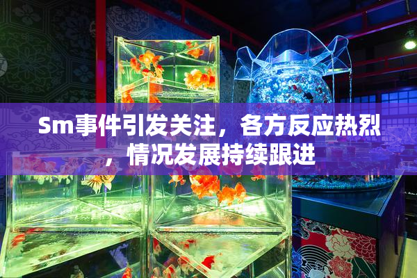 Sm事件引发关注，各方反应热烈，情况发展持续跟进