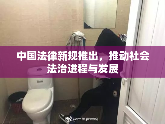中国法律新规推出，推动社会法治进程与发展