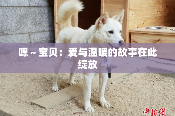 嗯～宝贝：爱与温暖的故事在此绽放